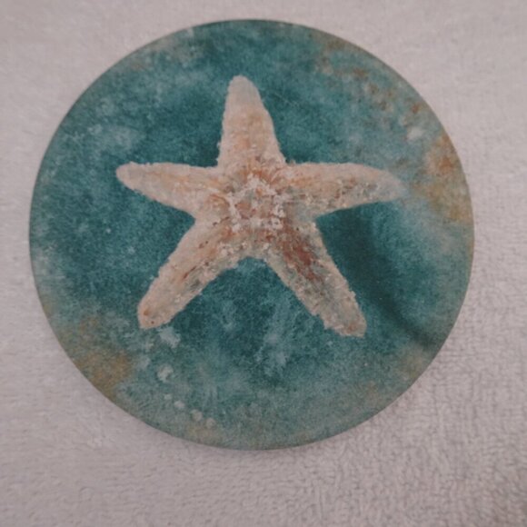 CoasterStone Set of 4 Drink Coasters Absorbent Seahorse Shell Beach Ocean Sea - Picture 9 of 11